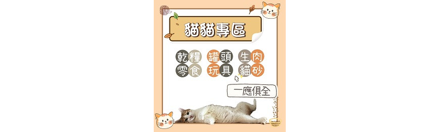 🐱貓咪